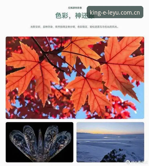 品牌直营标杆站V3注册 乐鱼体育品牌直营标杆站V3注册全面解析:从入门到流畅使用的深度体验分享